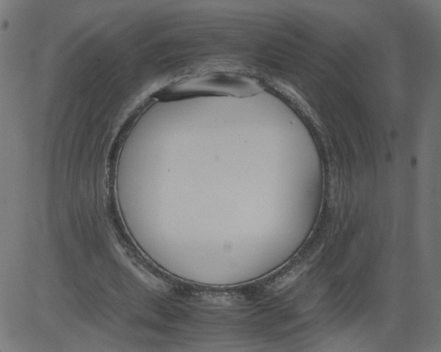 X0000081370439200702020209