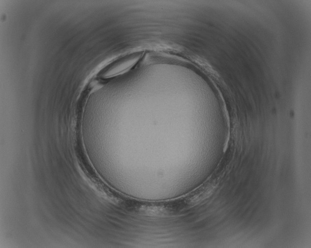 X0000081370440200702020209