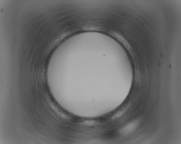 X0000081370441200702020209