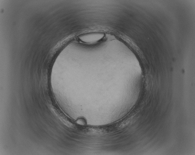 X0000081370442200702020209