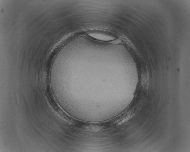 X0000081370444200702020209