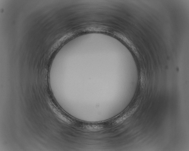 X0000081370445200702020209