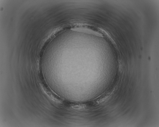 X0000081370447200702020209