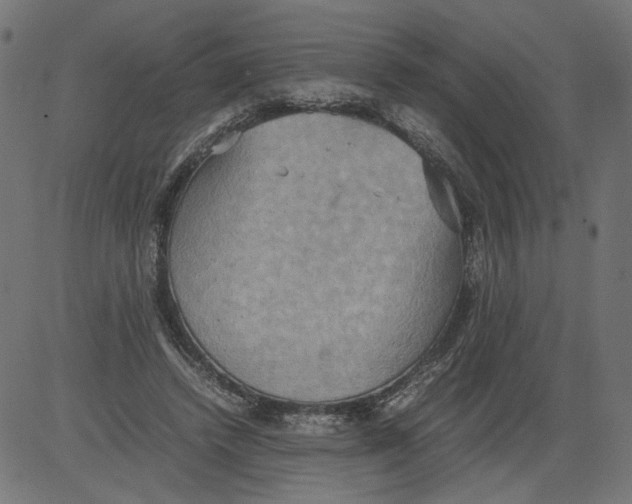 X0000081370448200702020209