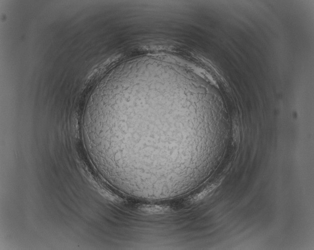 X0000081370453200702020209