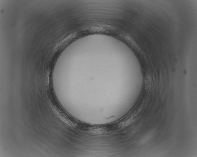 X0000081370454200702020209