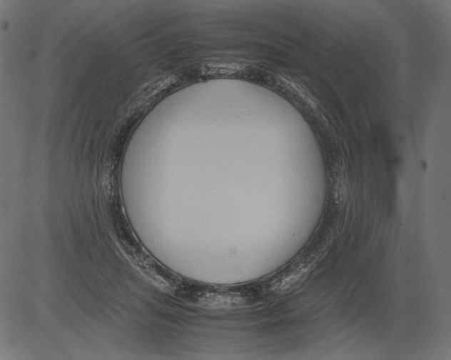 X0000081370455200702020209