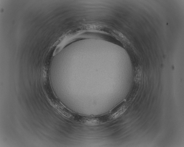 X0000081370456200702020209