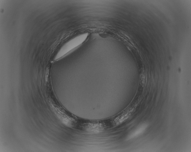 X0000081370458200702020209