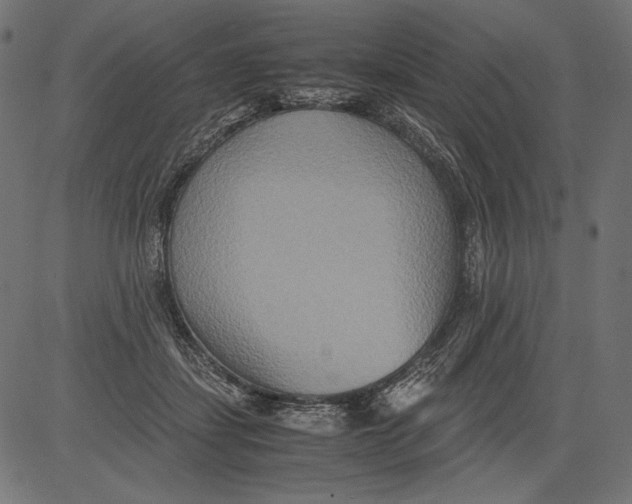 X0000081370459200702020209