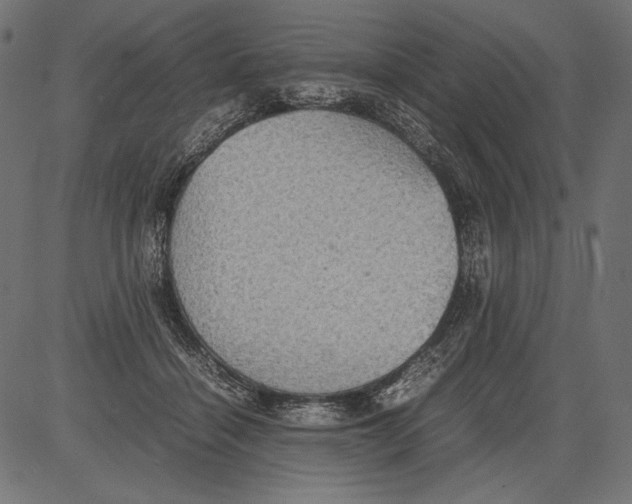 X0000081370460200702020209