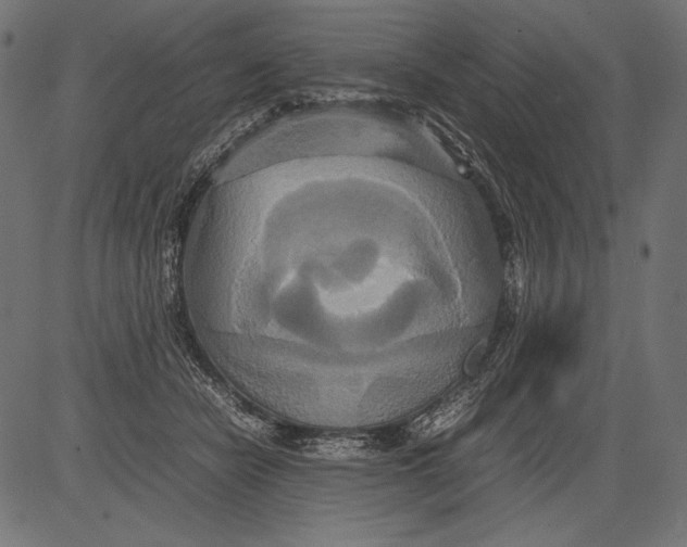 X0000081370462200702020209