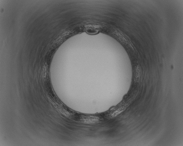 X0000081370463200702020209