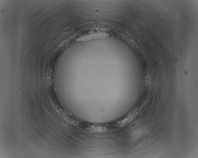 X0000081370464200702020209