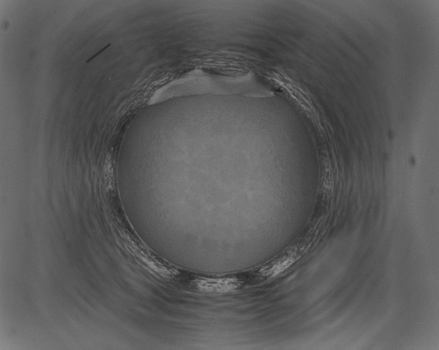 X0000081370465200702020209