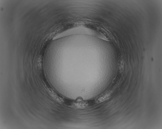 X0000081370466200702020209