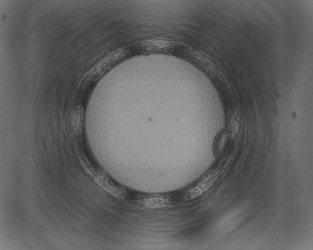 X0000081370468200702020209