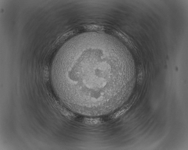 X0000081370469200702020209