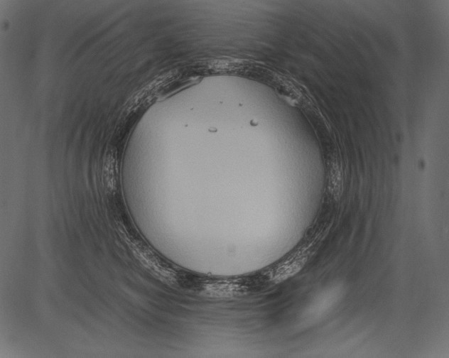 X0000081370470200702020209