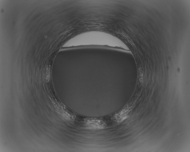 X0000081370471200702020209