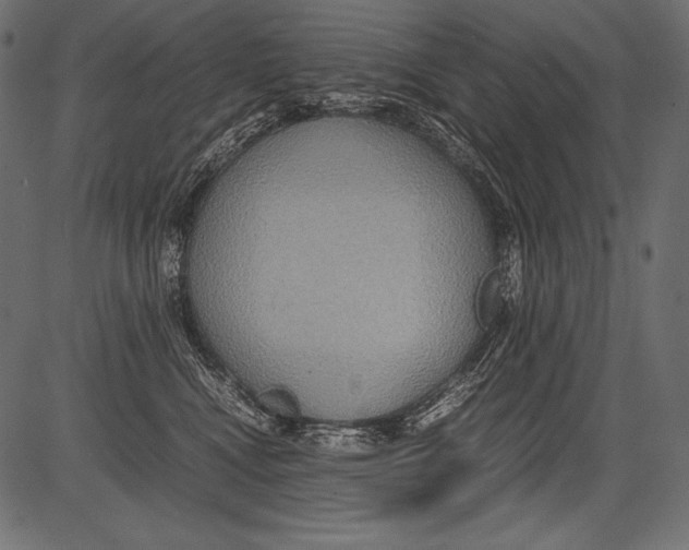 X0000081370472200702020210