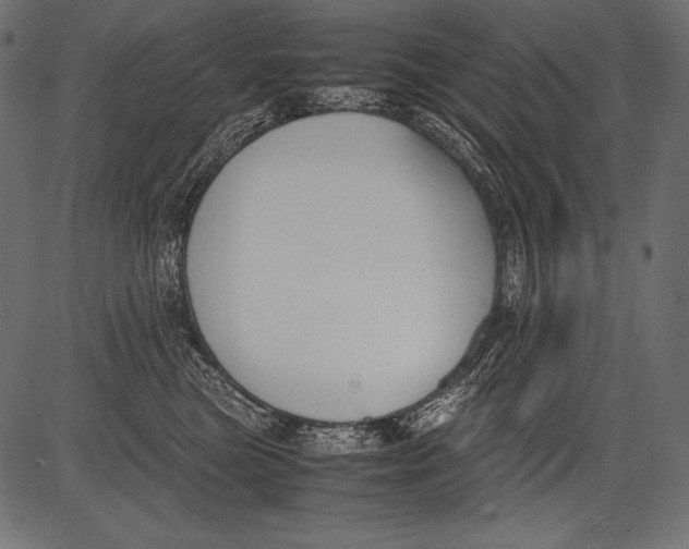 X0000081370473200702020210