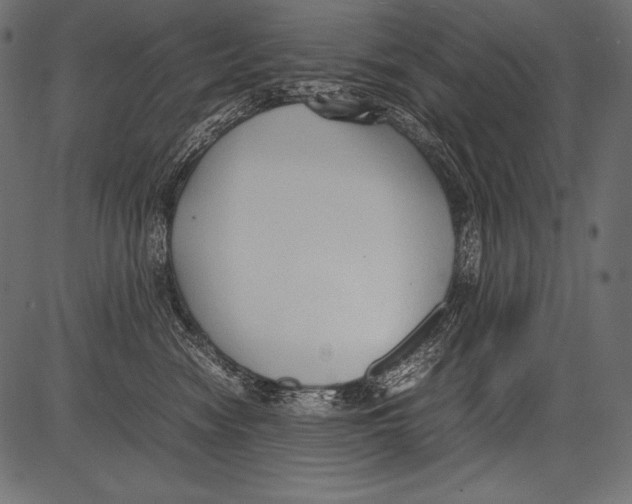 X0000081370474200702020210