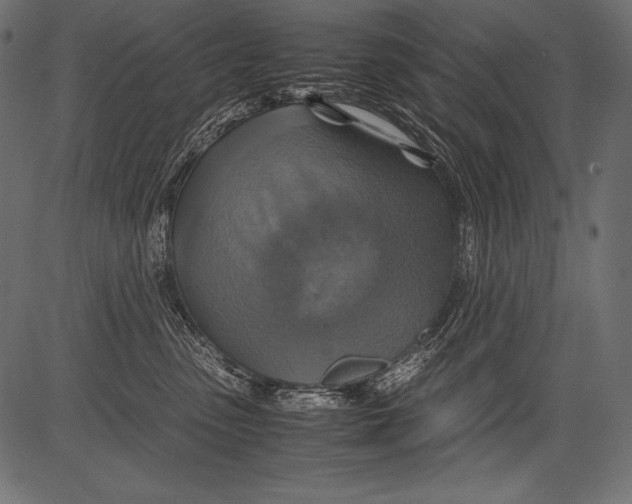 X0000081370475200702020210