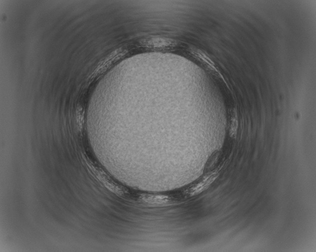 X0000081370476200702020210