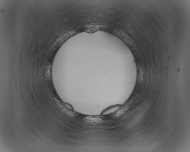 X0000081370477200702020210