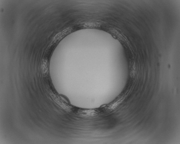 X0000081370478200702020210