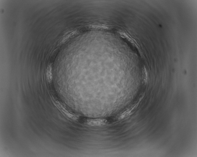 X0000081370479200702020210