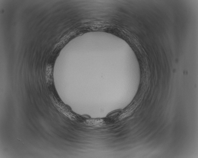 X0000081370480200702020210