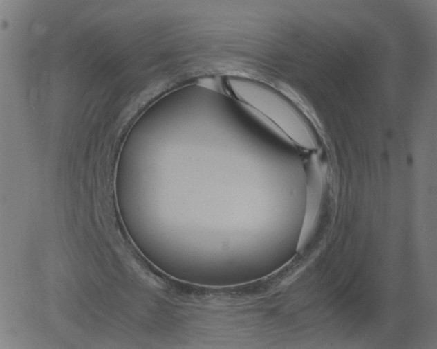 X0000081370481200702020209