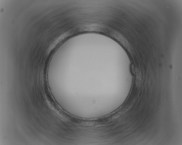 X0000081370482200702020209