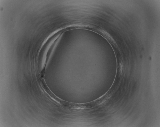 X0000081370484200702020209