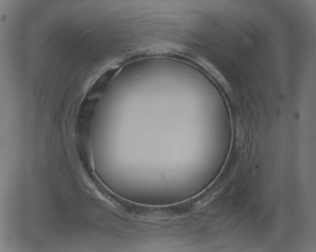 X0000081370485200702020209