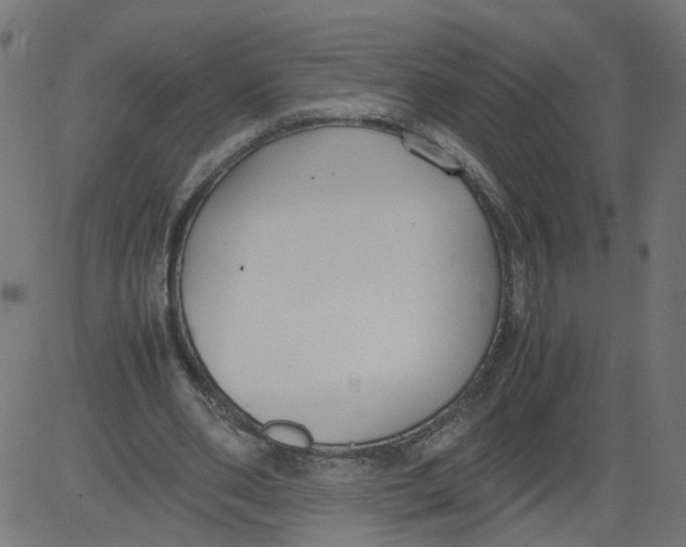 X0000081370486200702020209