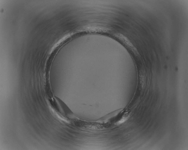 X0000081370488200702020209