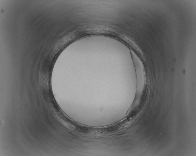 X0000081370489200702020209