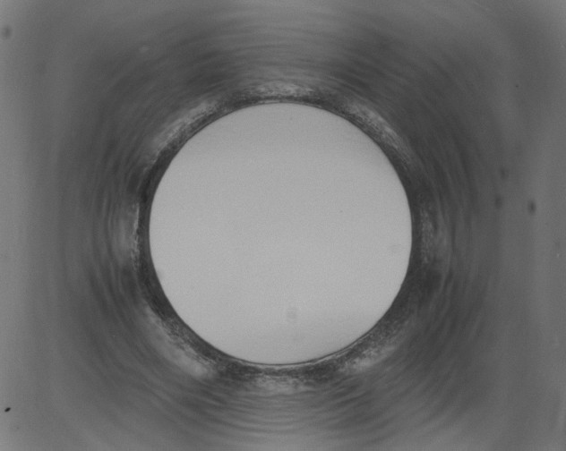 X0000081370490200702020209