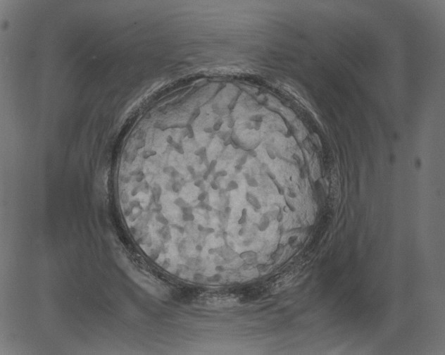 X0000081370491200702020209