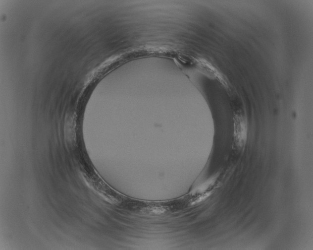 X0000081370492200702020209