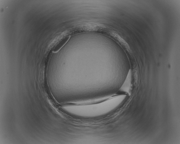 X0000081370493200702020209