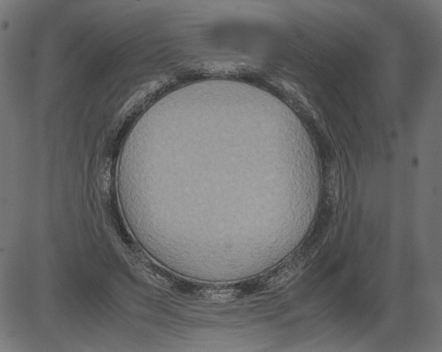 X0000081370495200702020209