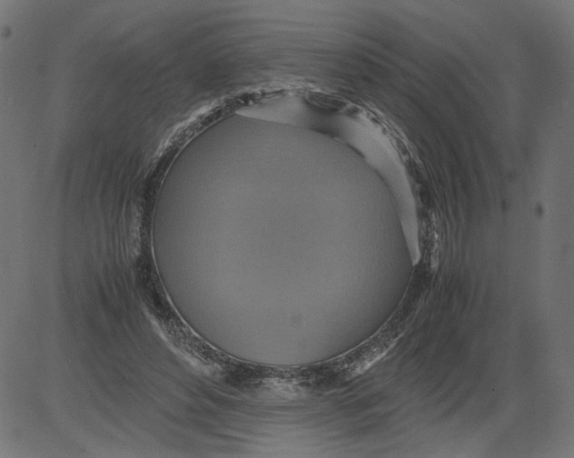 X0000081370496200702020209