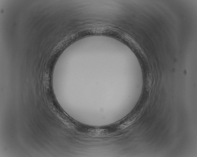 X0000081370497200702020209