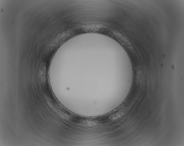 X0000081370498200702020209