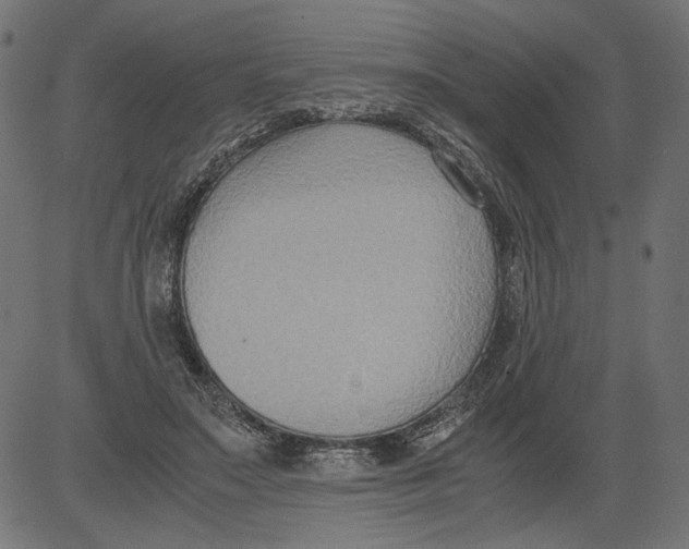 X0000081370499200702020209