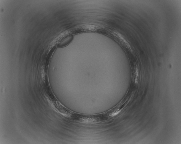 X0000081370500200702020209